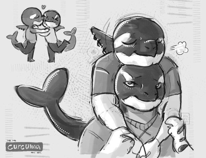 cleaned sketch + values cleaned sketch + values