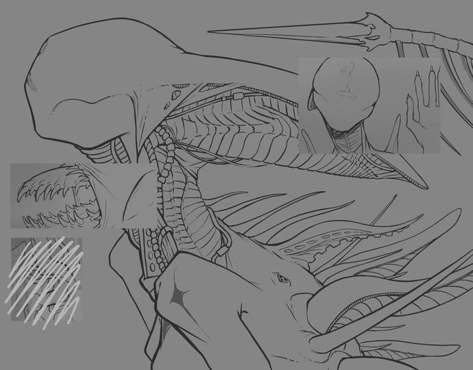 lineart